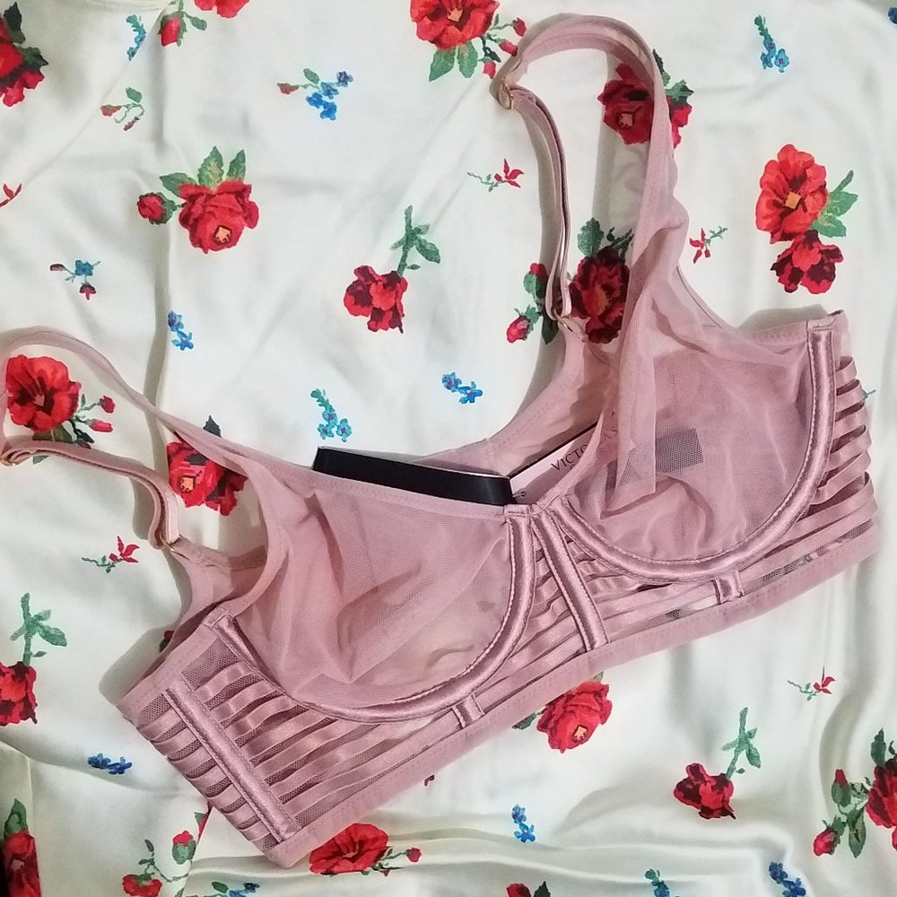 NWT UNLINED POWDER PINK PLUNGE MESH BRA